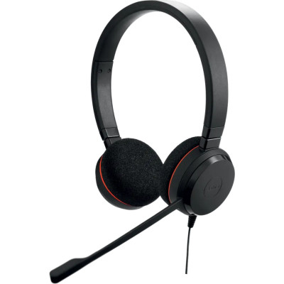 Наушники Jabra Evolve 20 Stereo USB C/A MS (4999-823-169)