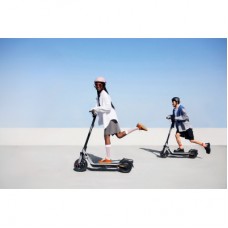 Електросамокат Segway E3 PRO E сірий (AA.05.19.02.0003) - Фото