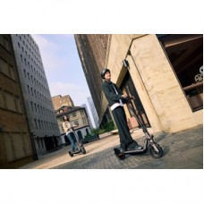 Електросамокат Segway F3 E сірий (AA.05.17.01.0005) - Фото