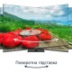 Телевизор THOMSON 43QG7C04 Телевизор THOMSON 43QG7C04