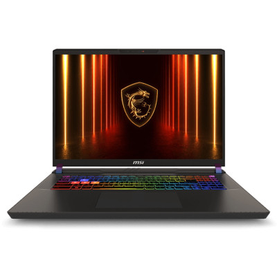 Ноутбук MSI Vector A16 HX A8WHG-019XUA (9S7-15MM72-019)