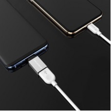 Перехідник OTG USB 3.0 AF to USB-C BOROFONE (6957531090328) - Фото