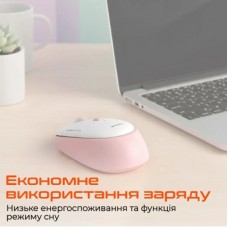 Мышка Meetion R571 Wireless White/Gray (MT-R571-C) - Фото