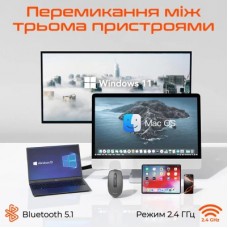 Мышка Meetion BTM100R Wireless/Bluetooth Black (MT-BTM100R-A) - Фото