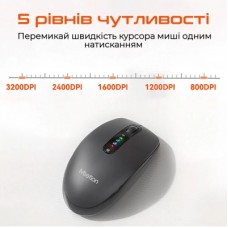 Мышка Meetion BTM100R Wireless/Bluetooth Black (MT-BTM100R-A) - Фото