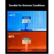 Карта памяти Lexar 256GB microSDXC class 10 UHS-II U3 V60 A1 Professional Gold (LMSGOLD256G-BNNNG) Карта памяти Lexar 256GB microSDXC class 10 UHS-II U3 V60 A1 Professional Gold (LMSGOLD256G-BNNNG) - Фото