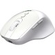 Мышка OfficePro M520W Wireless/Bluetooth White (M520W) Мышка OfficePro M520W Wireless/Bluetooth White (M520W)