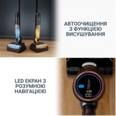 Пилосос Rowenta GZ5736E0 - Фото