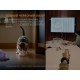 Фонарь Fenix E06R білий (E06RWH) Фонарь Fenix E06R білий (E06RWH)