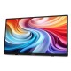 Монитор Acer PM161QTbmiuuux (UM.ZP1EE.007) Монитор Acer PM161QTbmiuuux (UM.ZP1EE.007)