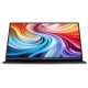 Монитор Acer PM161QTbmiuuux (UM.ZP1EE.007) Монитор Acer PM161QTbmiuuux (UM.ZP1EE.007)