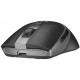 Мышка A4Tech FB50CS Plus Wireless/Bluetooth Black (4711421002899) Мышка A4Tech FB50CS Plus Wireless/Bluetooth Black (4711421002899)