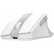 Мышка A4Tech FG35C Plus Wireless White (4711421002974)