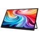 Монитор Acer PM161Wbmiuux (UM.ZP1EE.012)