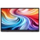 Монитор Acer PM161Wbmiuux (UM.ZP1EE.012)
