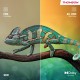 Телевизор THOMSON 43MG7C15 Телевизор THOMSON 43MG7C15