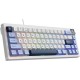 Клавіатура Ajazz AK650 Sea Salt Switch USB UA White/Blue (AK650-SS-BWB) Клавіатура Ajazz AK650 Sea Salt Switch USB UA White/Blue (AK650-SS-BWB)