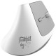 Мышка Ajazz i300 Wireless/Bluetooth/USB White (i300-W) Мышка Ajazz i300 Wireless/Bluetooth/USB White (i300-W)