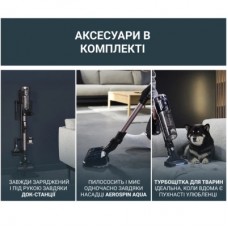 Пилосос Rowenta RH9CD9E0 - Фото