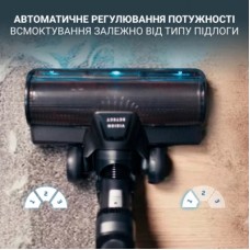Пилосос Rowenta RH9CD9E0 - Фото
