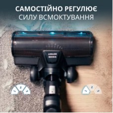 Пилосос Rowenta RH9C71E0 - Фото