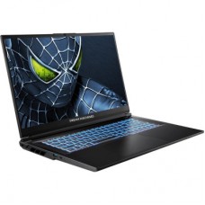 Ноутбук Dream Machines RG5050-17 (RG5050-17UA29) - Фото