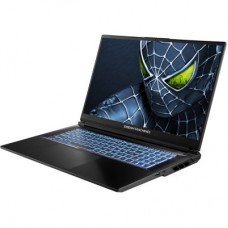Ноутбук Dream Machines RG5050-17 (RG5050-17UA29) - Фото