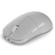 Мышка Endgame Gear XM2w 4k v2 Wireless Transparent White (PGW-EG-MOU-082) Мышка Endgame Gear XM2w 4k v2 Wireless Transparent White (PGW-EG-MOU-082)
