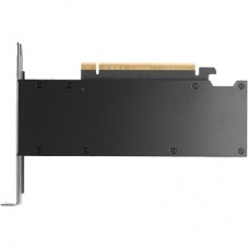 Відеокарта PNY NVIDIA RTX PRO 2000 16Gb (VCNRTXPRO2000-SB) - Фото