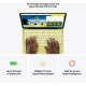 Ноутбук Apple MacBook Neo A3404 (MHFE4UA/A)