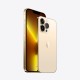 Мобильный телефон Apple iPhone 13 Pro 1Tb Gold (Grade A) USED (iP13Pr1TGol_A)