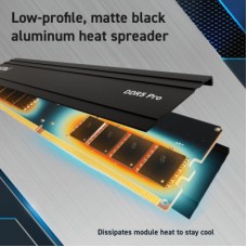 Модуль пам'яті для комп'ютера DDR5 32GB 6000 MHz Pro Micron (CP32G60C40U5BT) Модуль пам'яті для комп'ютера DDR5 32GB 6000 MHz Pro Micron (CP32G60C40U5BT) - Фото