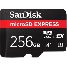 Карта памяти SanDisk 256GB microSDXC class 10 UHS-I U3 A1 Express (SDSQXFN-256G-GN4NN)