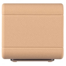 Акустична система 2E SoundLegend PowerBank IPX6 RGB Brown (2E-BSSLWBN) - Фото