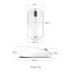 Мышка Zowie U2DW Wireless White (9H.N4PBE.A3E) Мышка Zowie U2DW Wireless White (9H.N4PBE.A3E)