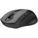 Мышка A4Tech Fstyler FG55S Plus Wireless Grey (4711421003421) Мышка A4Tech Fstyler FG55S Plus Wireless Grey (4711421003421)