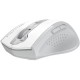 Мышка A4Tech Fstyler FG55S Plus Wireless White (4711421003438) Мышка A4Tech Fstyler FG55S Plus Wireless White (4711421003438)