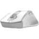 Мышка A4Tech Fstyler FG55S Plus Wireless White (4711421003438) Мышка A4Tech Fstyler FG55S Plus Wireless White (4711421003438)