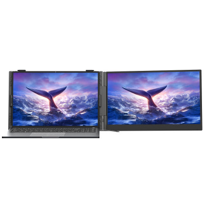 Монитор Blackview Single Screen 14inch (BVSCM6)