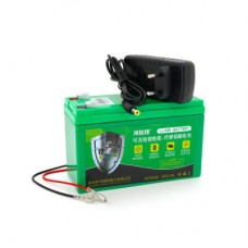 Батарея до ДБЖ Voltronic 12 V 21A Li-ion (Li12021ACh) - Фото