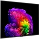 Телевизор LG OLED55G64LW