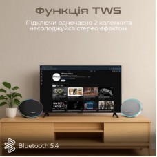 Акустична система HiFuture Orbit Silver (orbit.silver.) - Фото