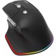 Мышка Acer Easy Fit Wireless Black (HP.EXPBG.021) Мышка Acer Easy Fit Wireless Black (HP.EXPBG.021)