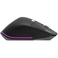 Мышка Acer Easy Fit Wireless Black (HP.EXPBG.021) - Фото