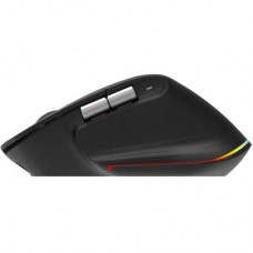Мышка Acer Easy Fit Wireless Black (HP.EXPBG.021) - Фото