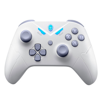 Геймпад Thunderobot G30S Ice-Blue (6932066309954)