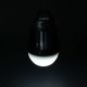 Фонарь Bo-Camp + знищувач комах Atom WP Rechargable 180 Lumen Black (5818804) (DAS303870)