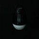 Фонарь Bo-Camp + знищувач комах Atom WP Rechargable 180 Lumen Black (5818804) (DAS303870)