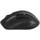 Мышка Canyon OnClick 17 Wireless Black (CNE-CMSW17B)