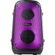 Акустическая система Defender Boomer 25 Black (65425)